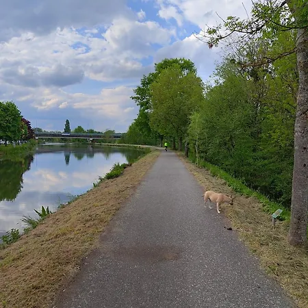 Les Caisses En Bois Et Acces Pmr -oslo- Charmes (Vosges)