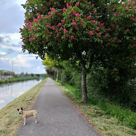 Les Caisses En Bois Et Accès Pmr -oslo- Appartement