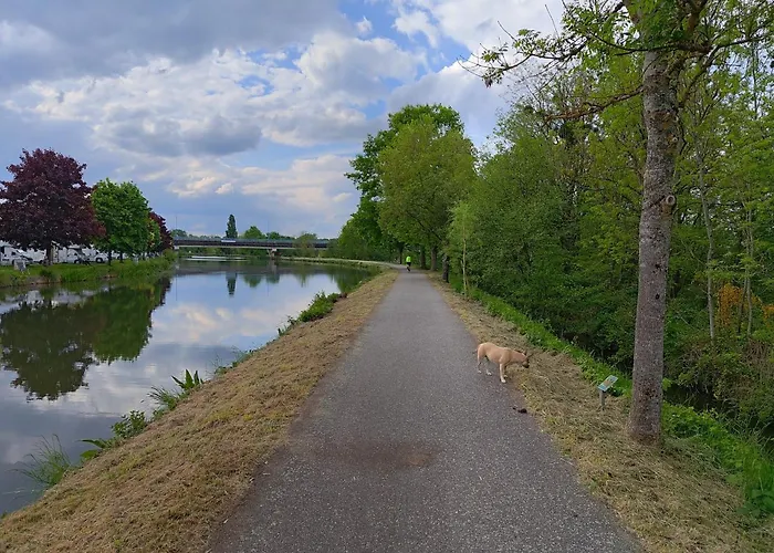 Les Caisses En Bois Et Acces Pmr -oslo- Charmes (Vosges)