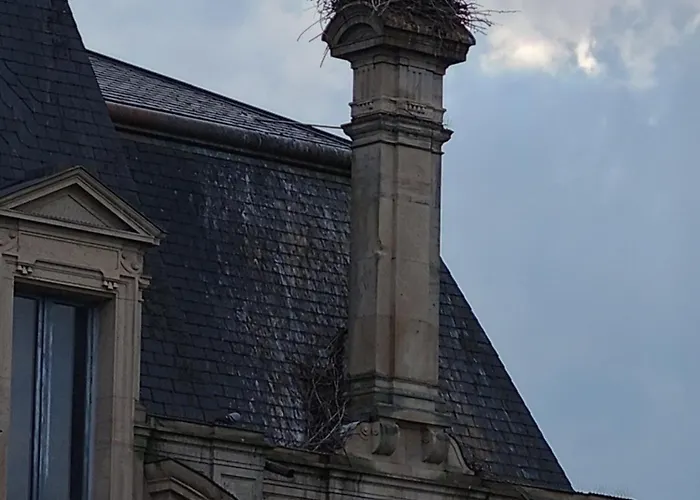 Les Caisses En Bois Et Acces Pmr -oslo- * Charmes (Vosges)