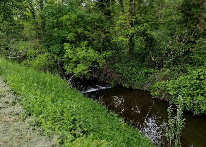 Les Caisses En Bois Et Acces Pmr -oslo- * Charmes (Vosges)