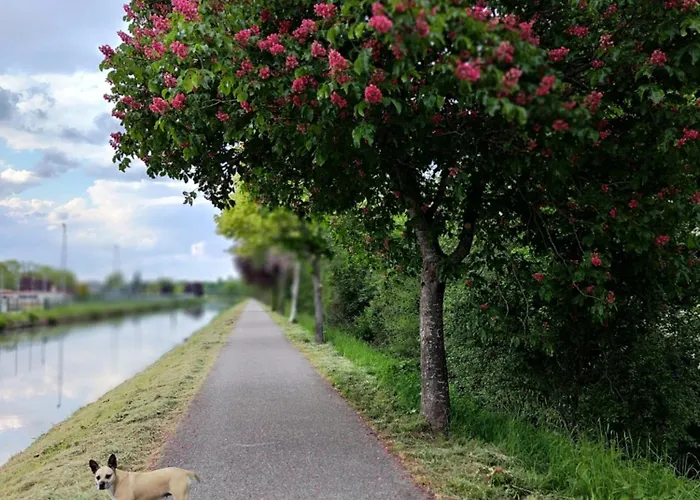Les Caisses En Bois Et Acces Pmr -oslo- Apartmán